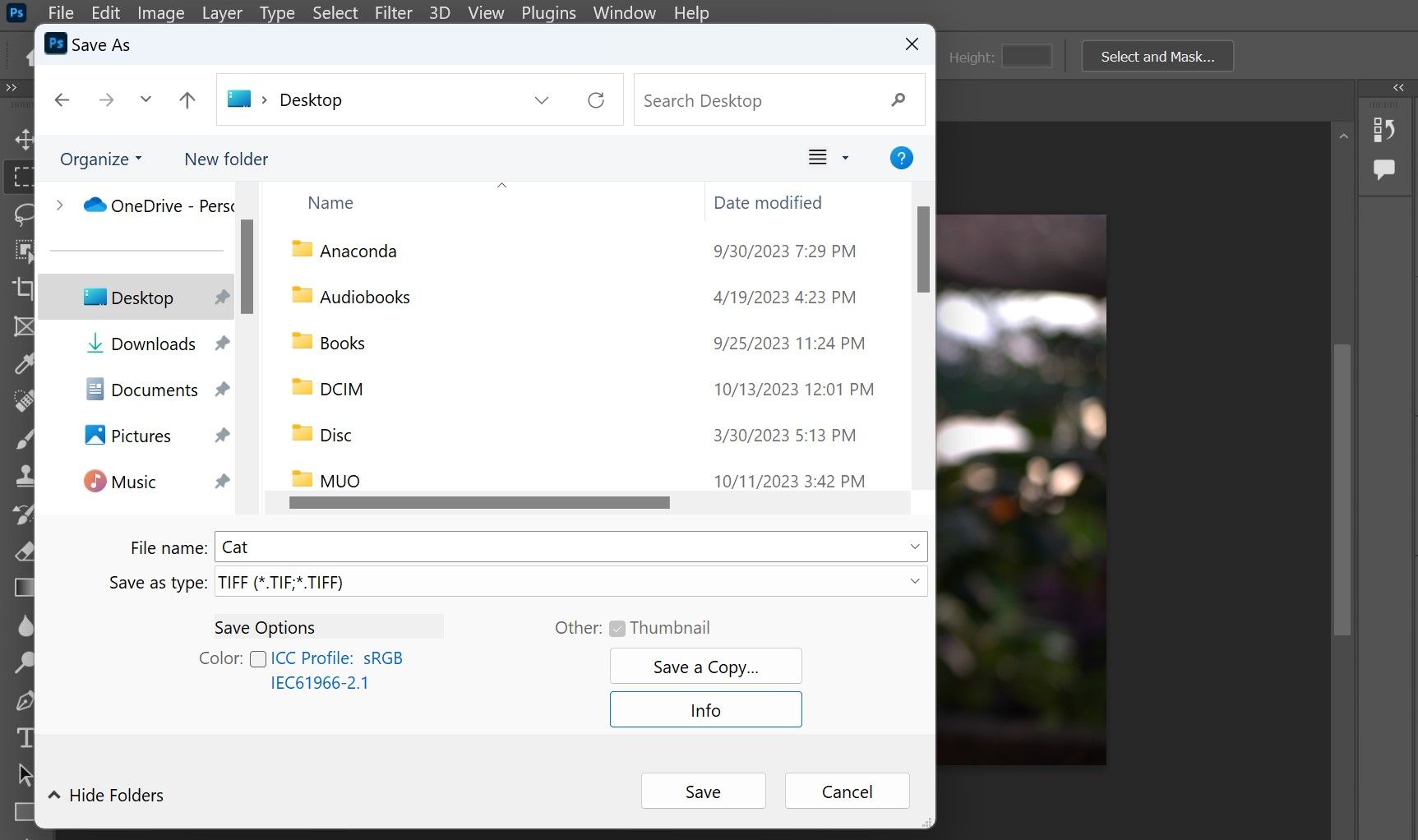 /bc/images/5-coverting-single-image-to-tiff.jpg /bc/images/5-coverting-single-image-to-tiff.jpg