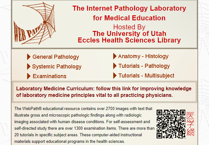 /bc/images/Pathology-Gross-Site.png /bc/images/Pathology-Gross-Site.png