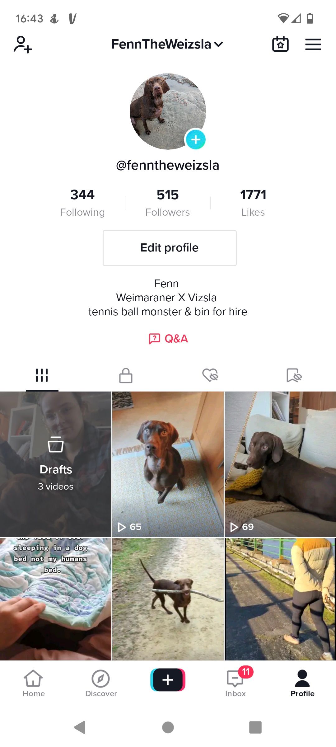 /bc/images/TikTok-Profile-.jpg /bc/images/TikTok-Profile-.jpg