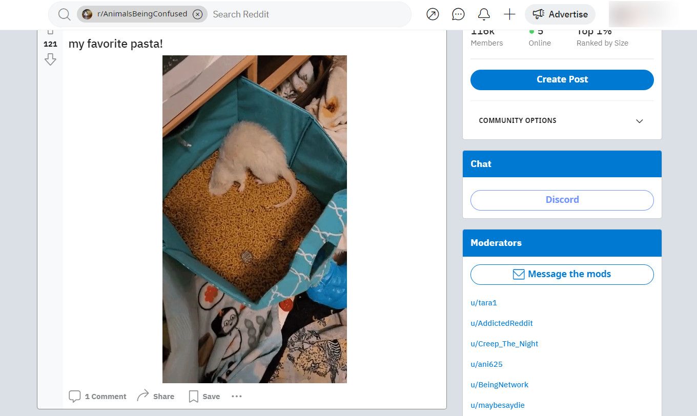 /bc/images/animalsbeingconfused.jpg /bc/images/animalsbeingconfused.jpg