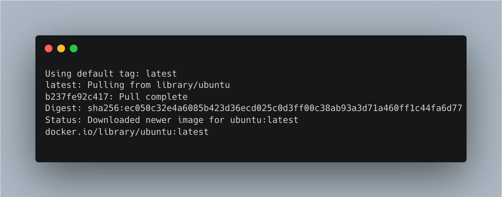 /bc/images/docker-pull.jpg /bc/images/docker-pull.jpg