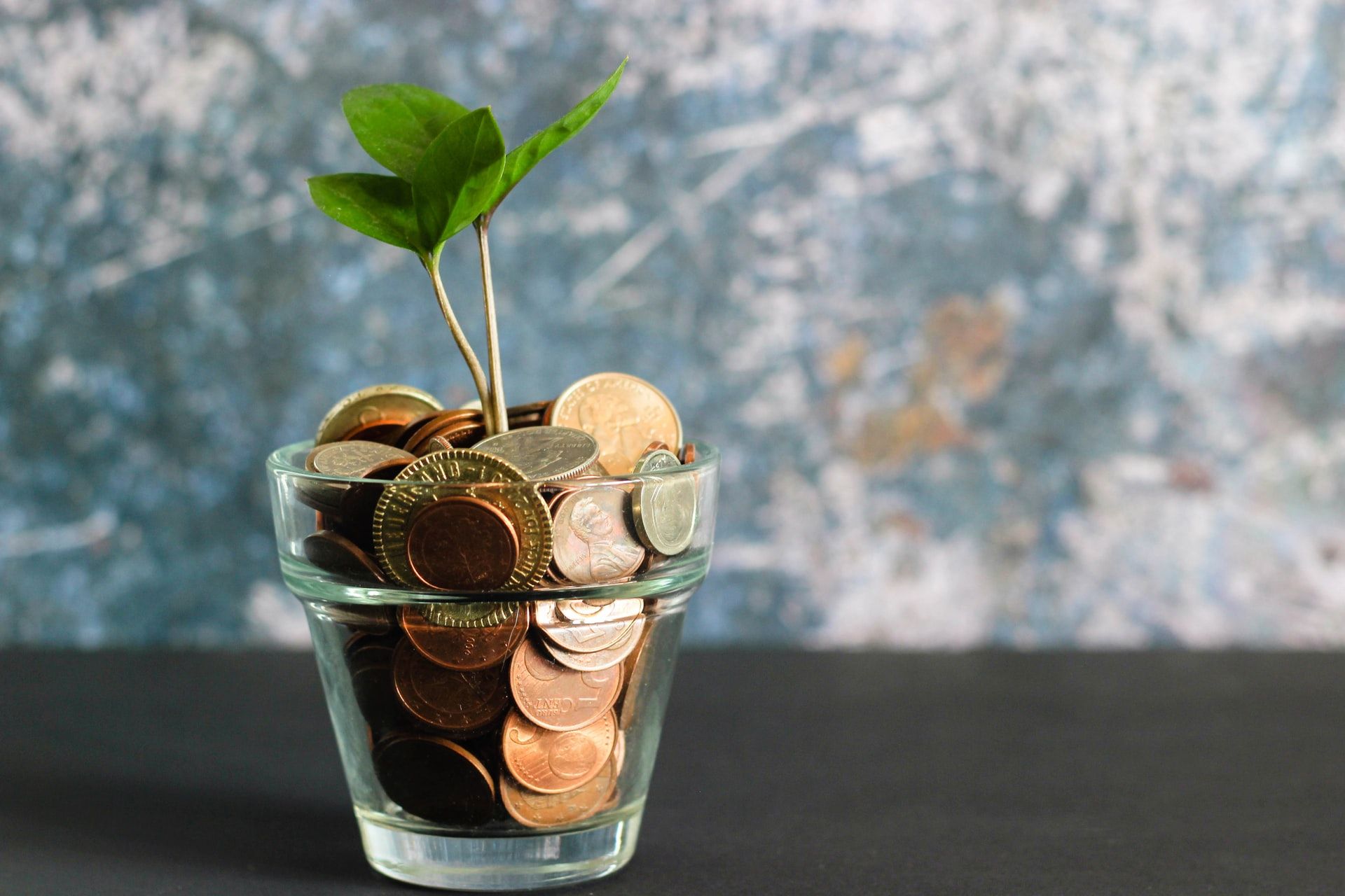 /bc/images/finance-and-investment.jpg /bc/images/finance-and-investment.jpg