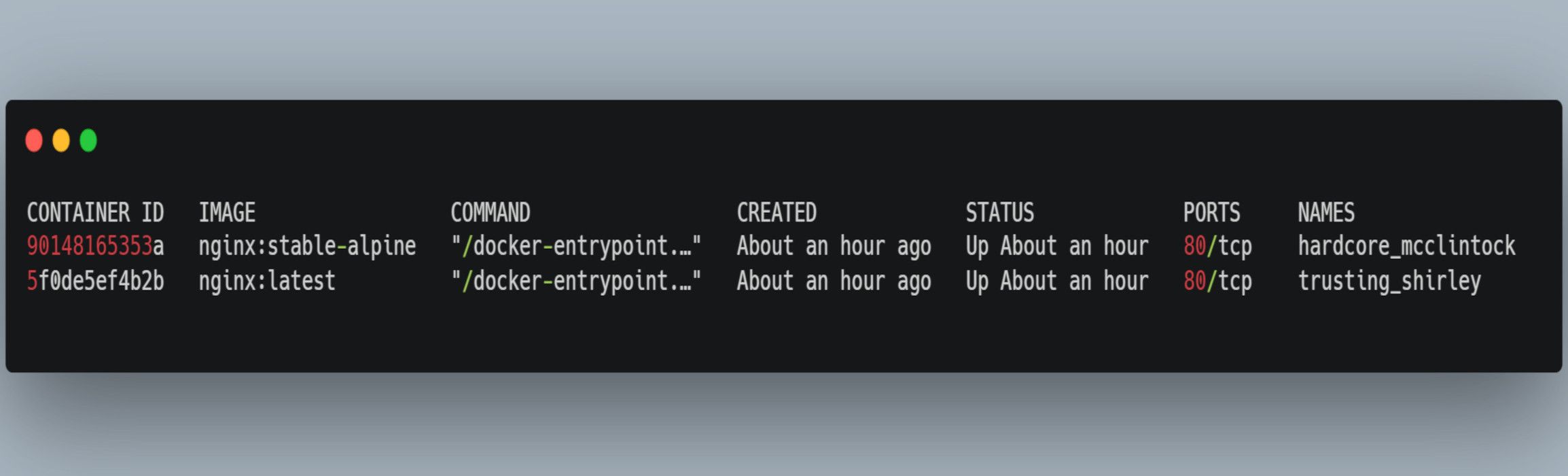 /bc/images/list-running-containers-on-the-terminal.jpg /bc/images/list-running-containers-on-the-terminal.jpg