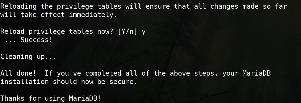 /bc/images/mariadb-success.jpg /bc/images/mariadb-success.jpg