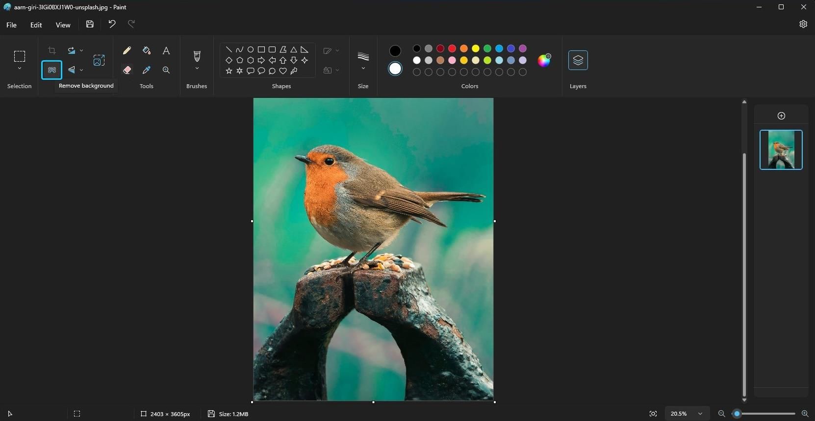 /bc/images/microsoft-paint-app-with-a-bird-image-and-remove-background-option-selected-in-windows-11-2.jpg /bc/images/microsoft-paint-app-with-a-bird-image-and-remove-background-option-selected-in-windows-11-2.jpg