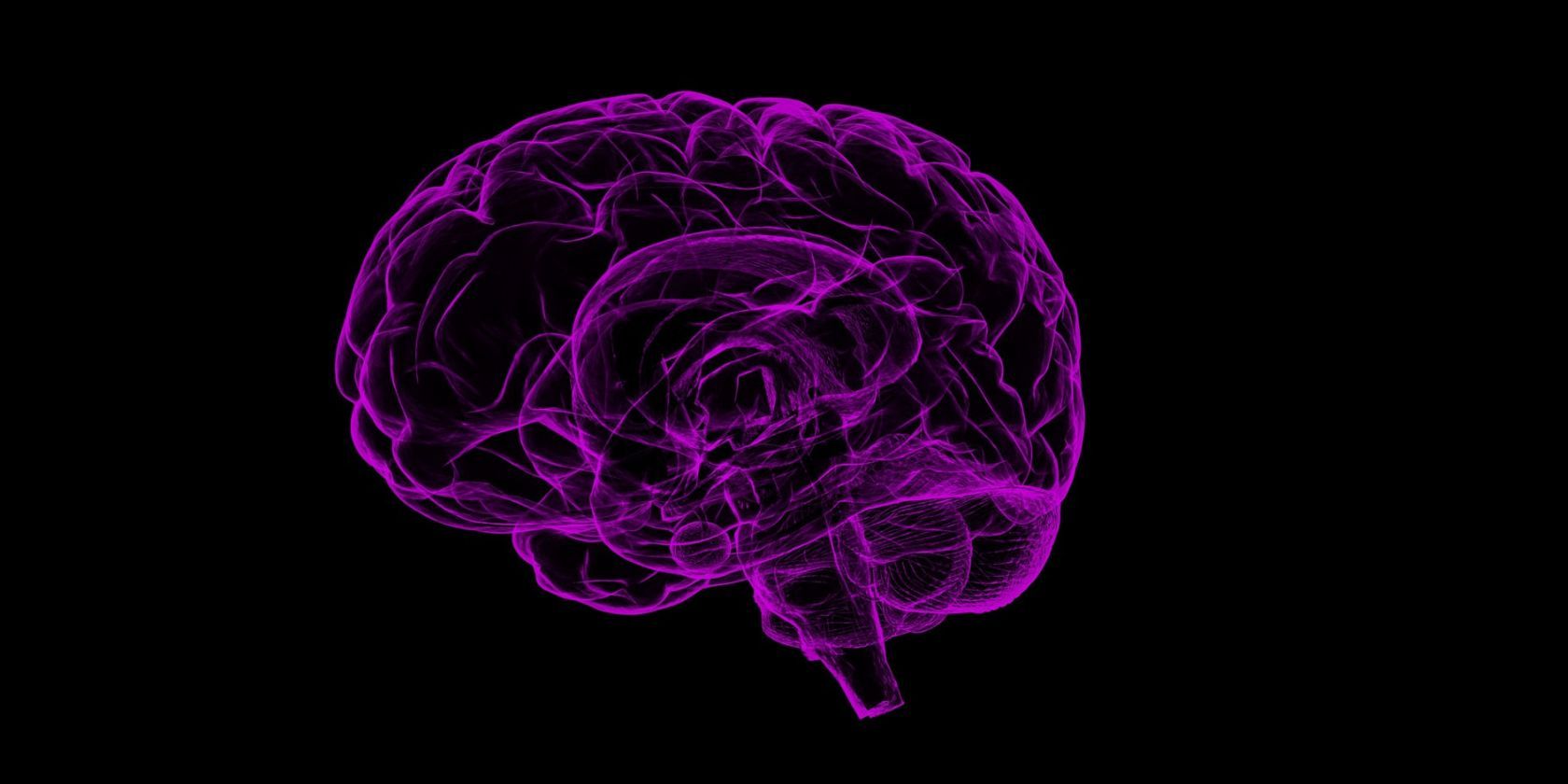 /bc/images/neon-pink-brain-image-on-a-black-background.jpg