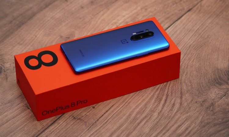 /bc/images/oneplus-8-sitting-on-box.jpg /bc/images/oneplus-8-sitting-on-box.jpg