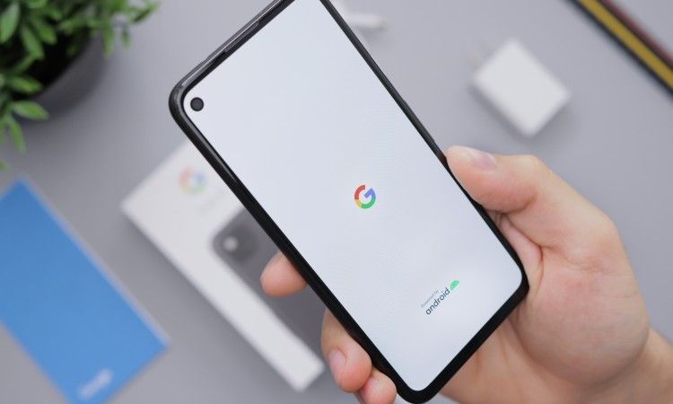/bc/images/person-holding-android-smartphone.jpg /bc/images/person-holding-android-smartphone.jpg