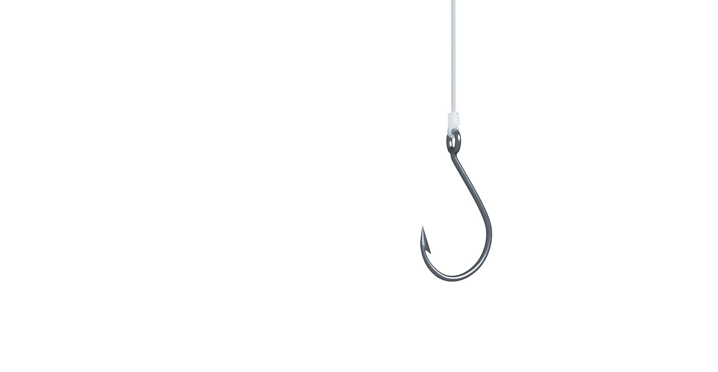 /bc/images/phishing-hook-1.jpg /bc/images/phishing-hook-1.jpg