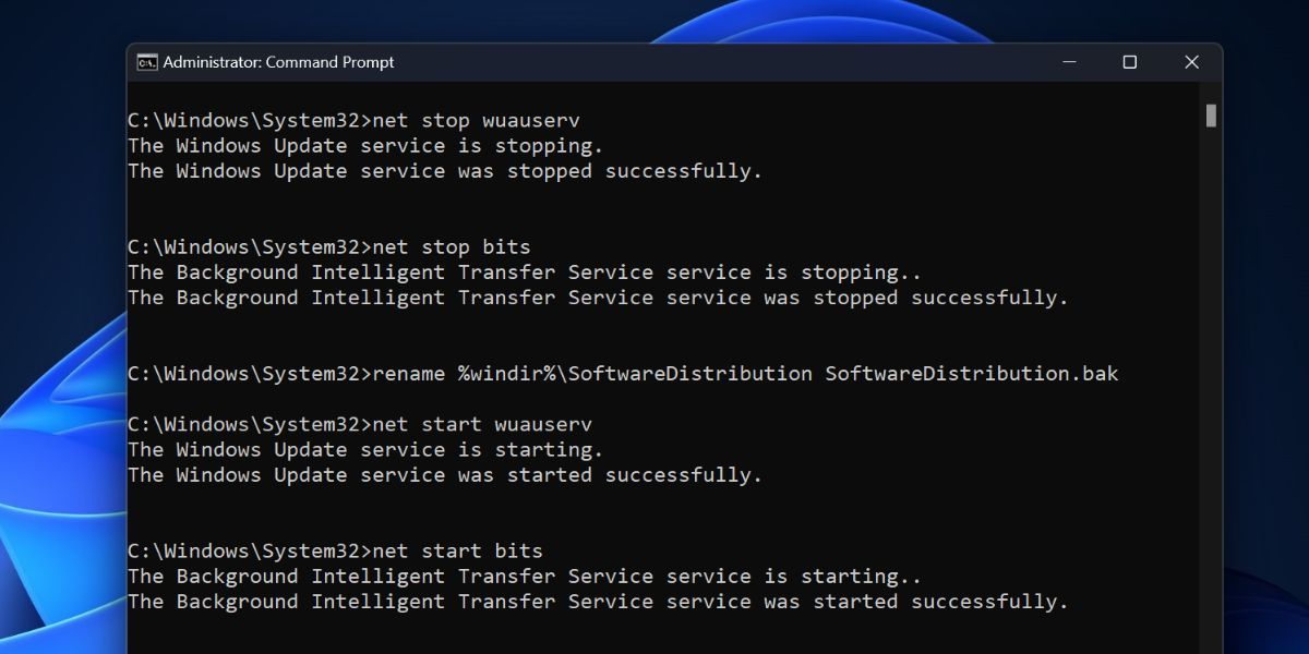 /bc/images/rename-the-softwaredistribution-folder.jpg /bc/images/rename-the-softwaredistribution-folder.jpg