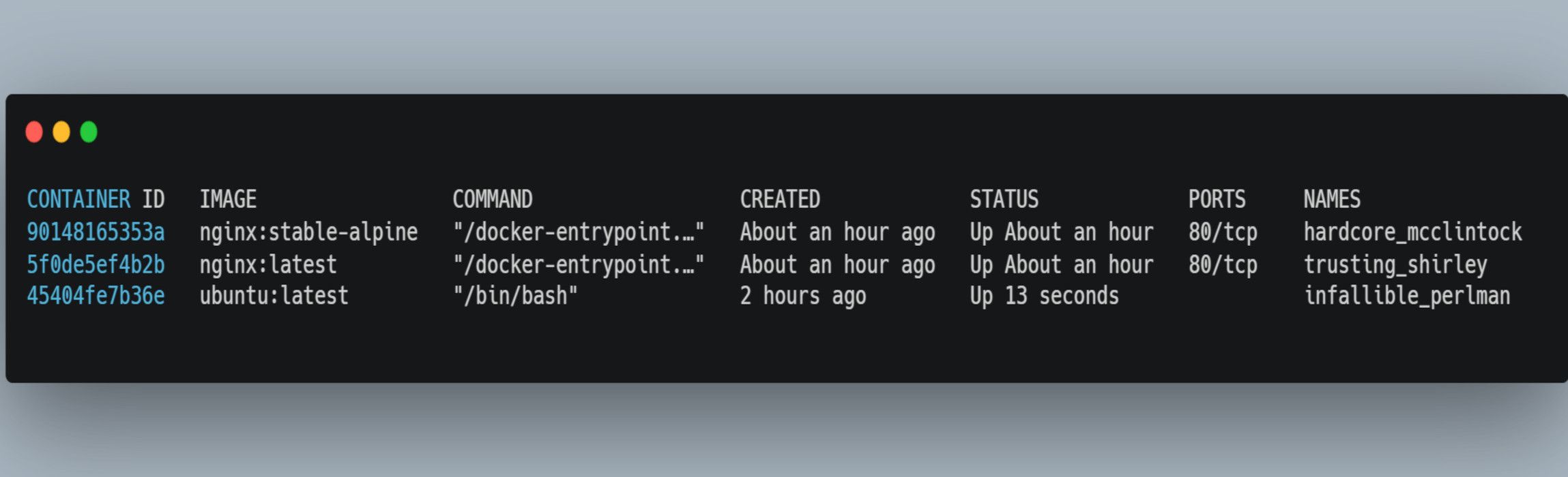 /bc/images/restarted-the-ubuntu-container.jpg /bc/images/restarted-the-ubuntu-container.jpg