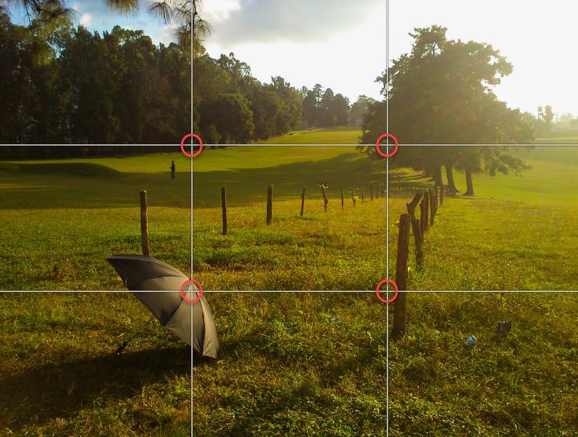 /bc/images/rule-of-thirds-example.jpg