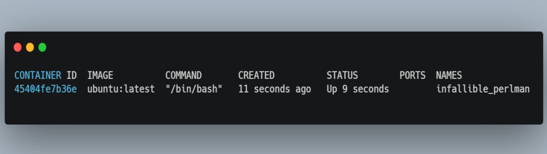 /bc/images/running-container-from-ubuntu-image-on-terminal.jpg /bc/images/running-container-from-ubuntu-image-on-terminal.jpg