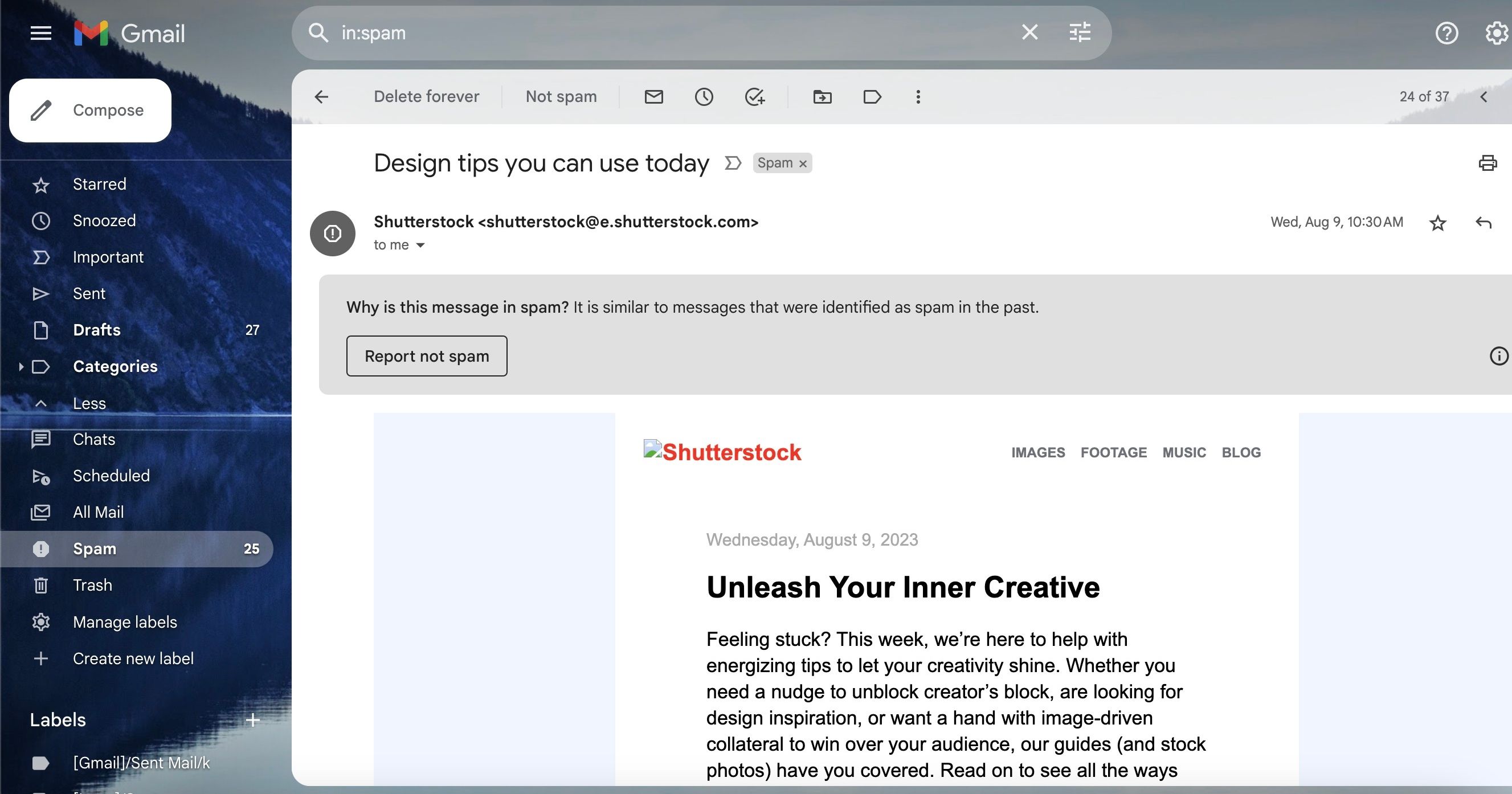 /bc/images/spam-email-in-gmail.jpg /bc/images/spam-email-in-gmail.jpg