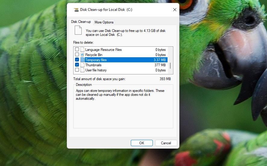 /bc/images/temporary-files-checkbox.jpg /bc/images/temporary-files-checkbox.jpg