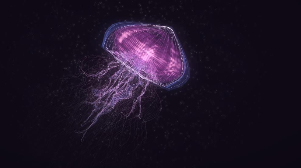 /bc/images/the-jellyfish-background.jpg /bc/images/the-jellyfish-background.jpg