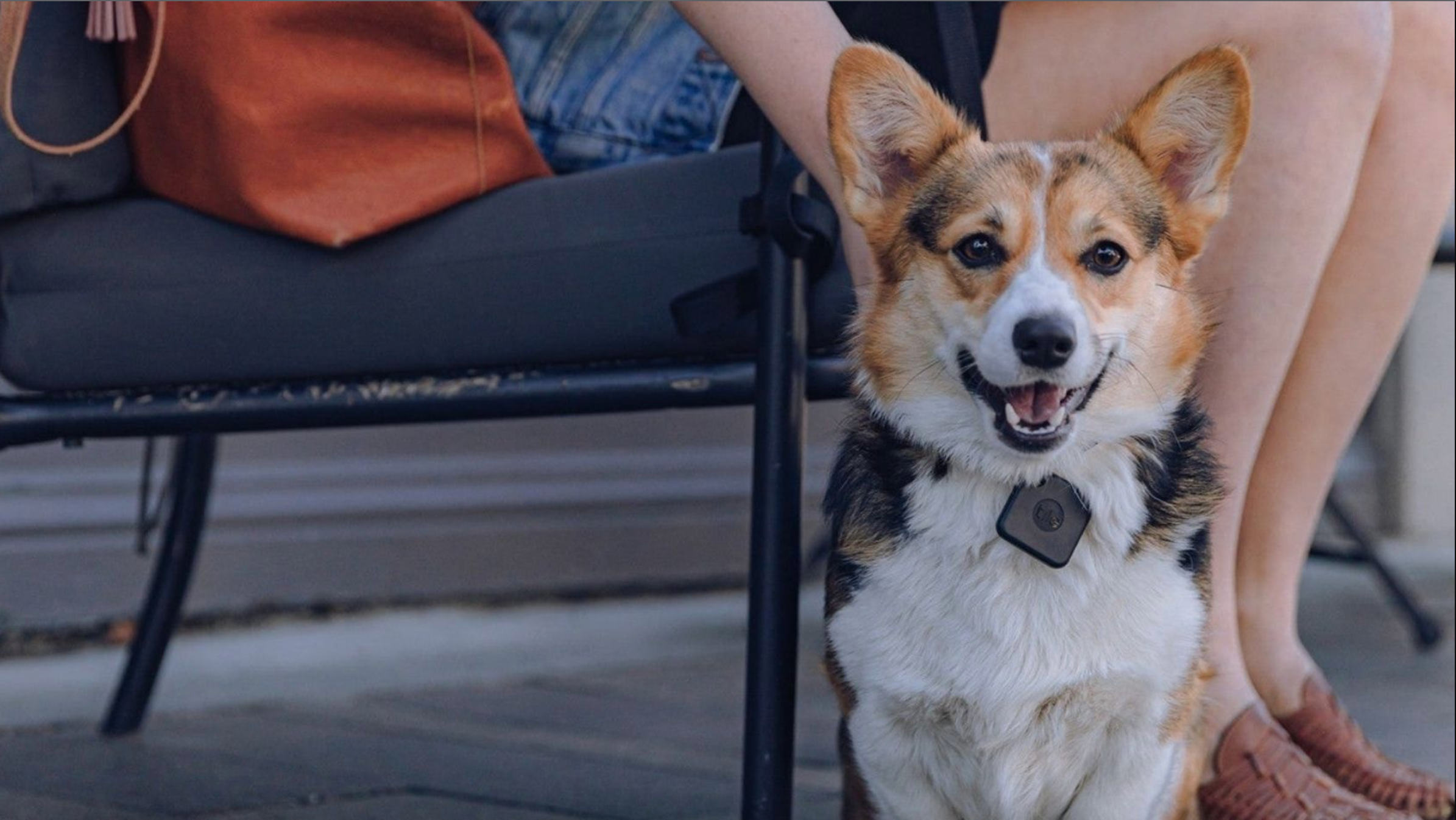 /bc/images/tracker-comparison-tile-pet.jpg /bc/images/tracker-comparison-tile-pet.jpg