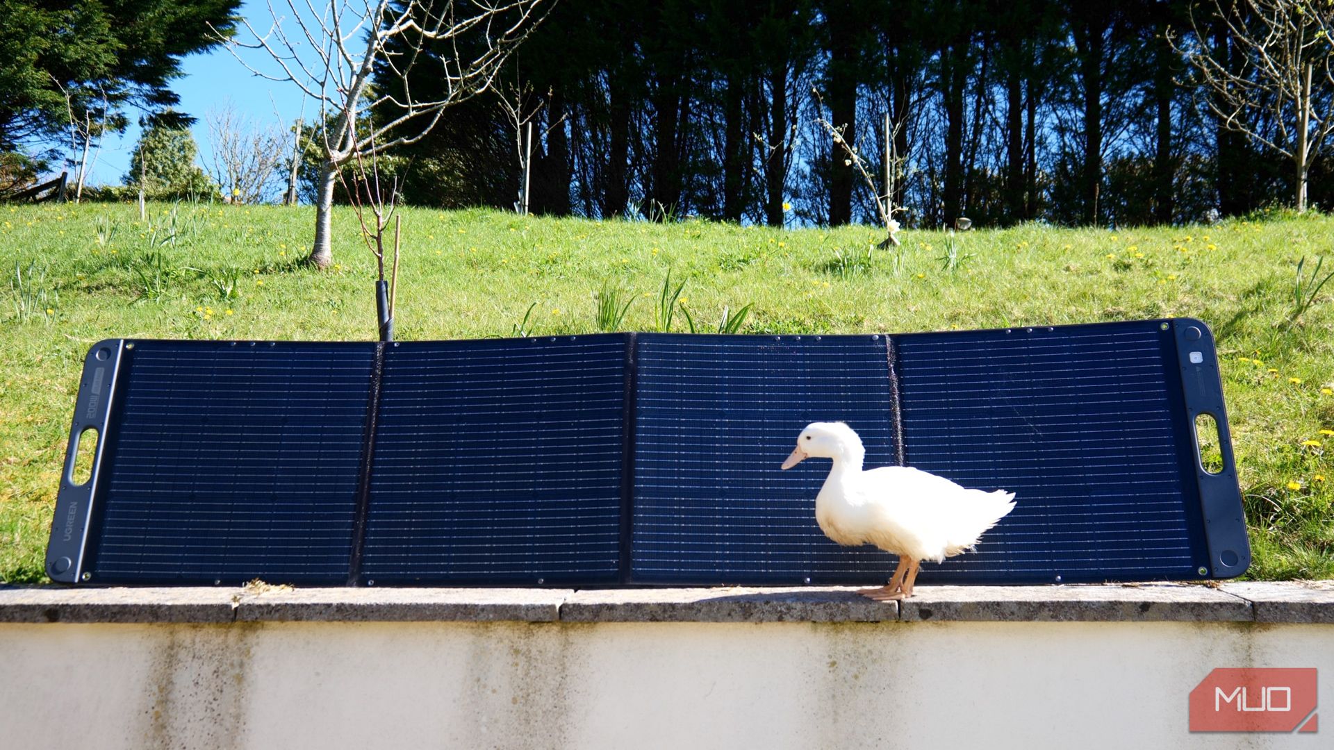 /bc/images/ugreen-powerroam-1200-and-sc200-solar-panels-with-duck.jpg