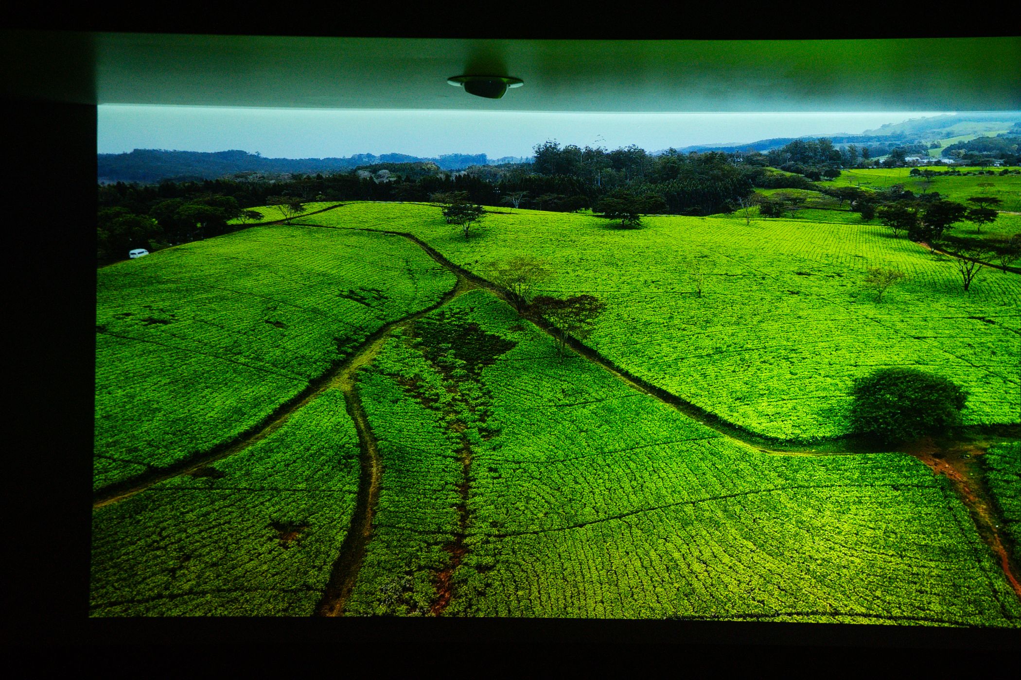 /bc/images/xgimi-horizon-ultra-green-field.jpg /bc/images/xgimi-horizon-ultra-green-field.jpg