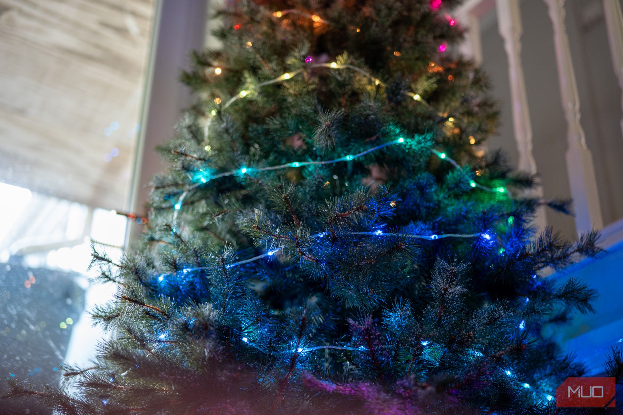 /nl/images/govee-christmas-string-lights-low-angle-brightrness-in-daytime-detail.jpg