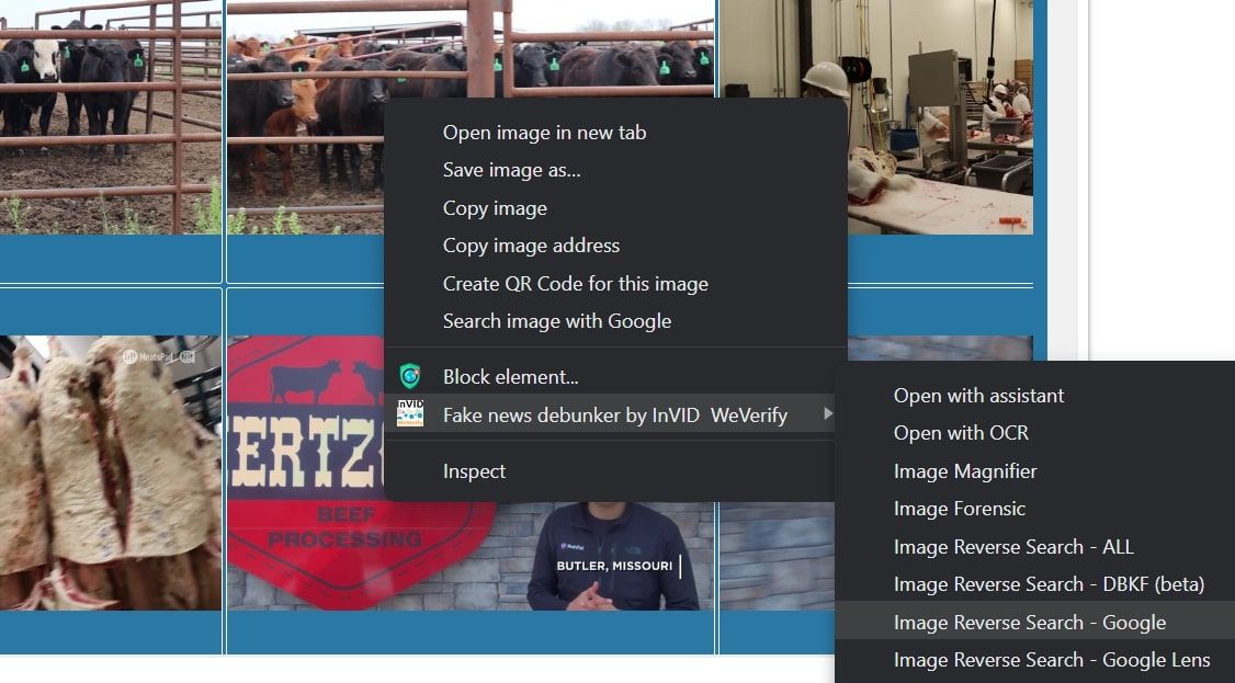 /nl/images/reverse-searching-the-image-using-the-fake-news-debunker-extension-on-windows.jpg