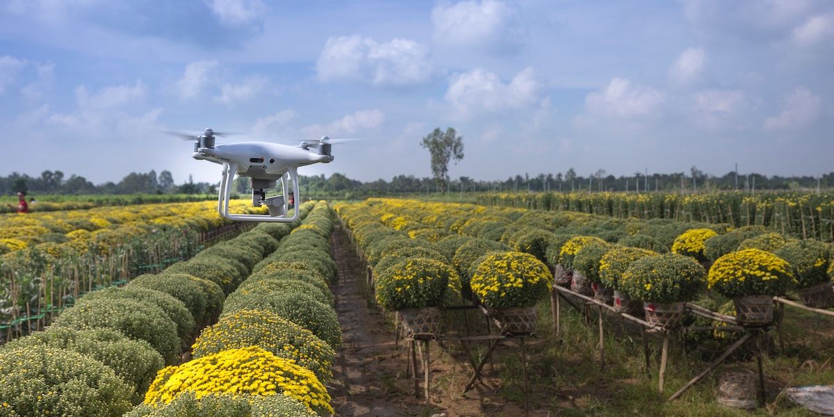 /pl/images/drone-in-farm.jpg /pl/images/drone-in-farm.jpg