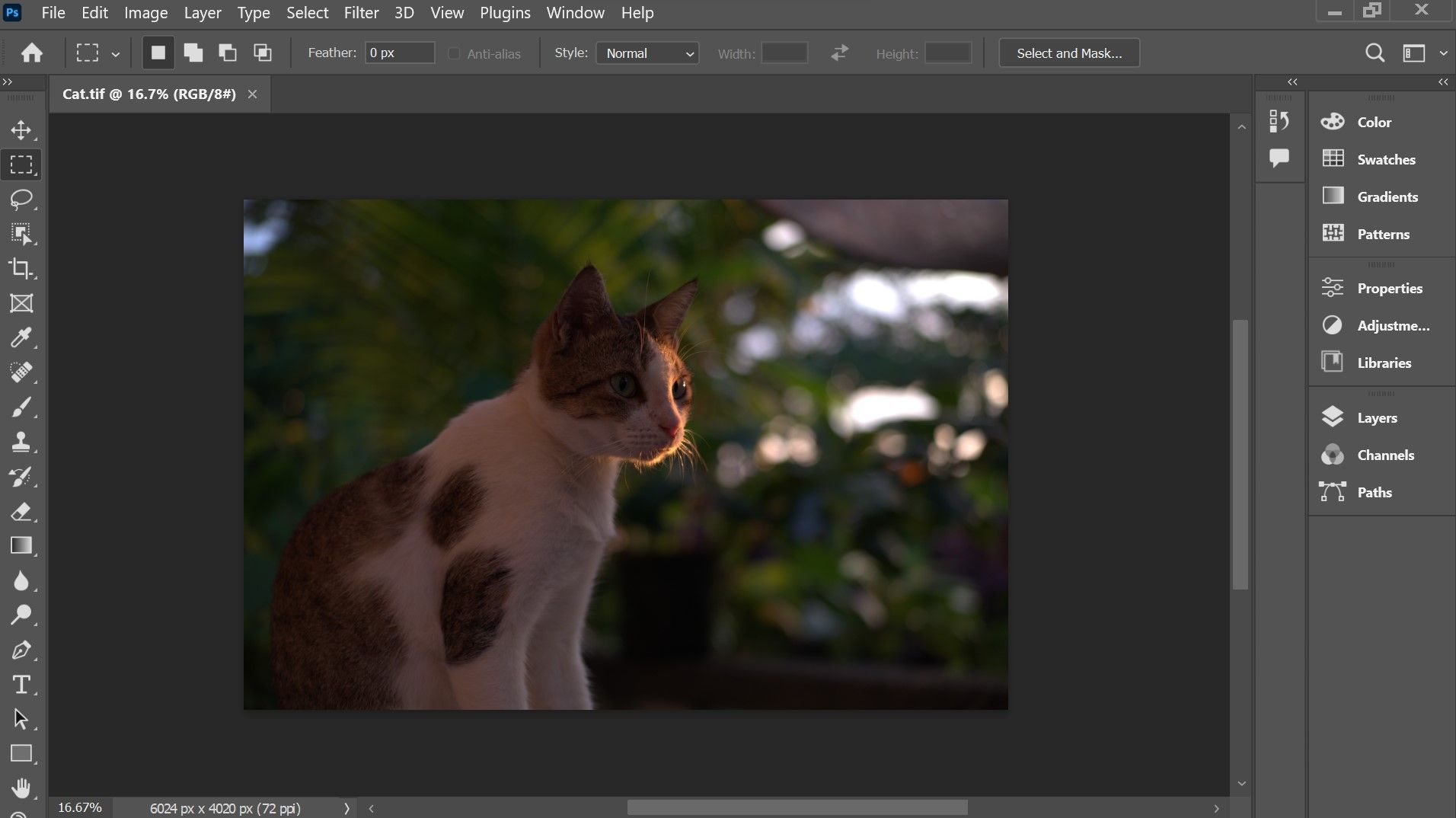 /pl/images/opened-in-photoshop.jpg /pl/images/opened-in-photoshop.jpg