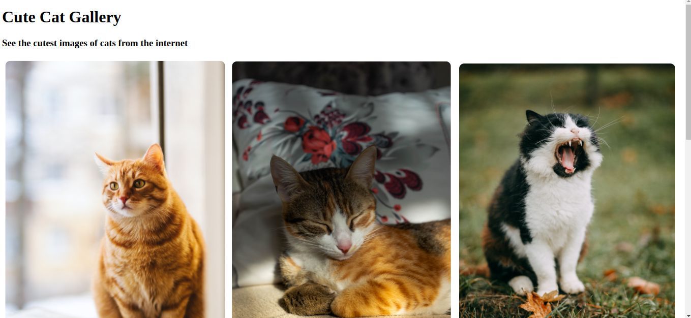 /pl/images/screenshot-of-the-svelte-app_result.jpg /pl/images/screenshot-of-the-svelte-app_result.jpg