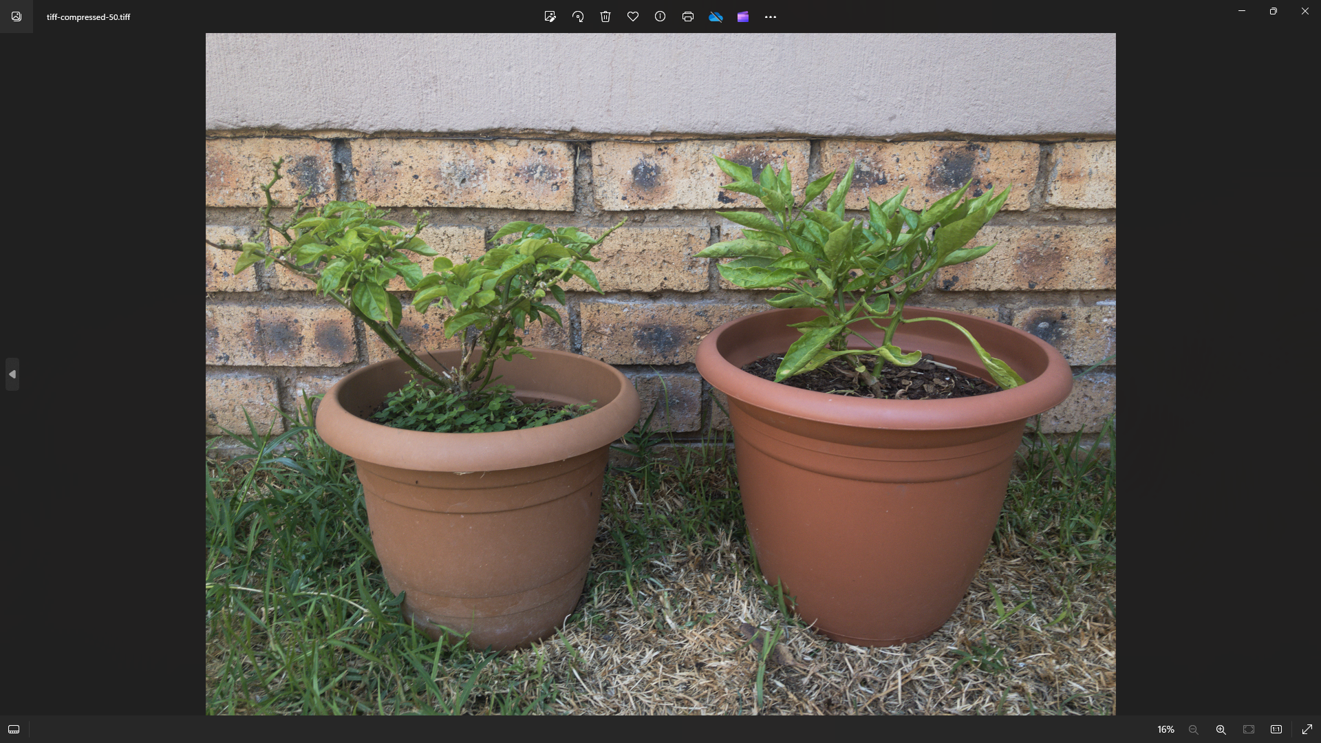 /pl/images/tiff-compressed-lossless.png /pl/images/tiff-compressed-lossless.png