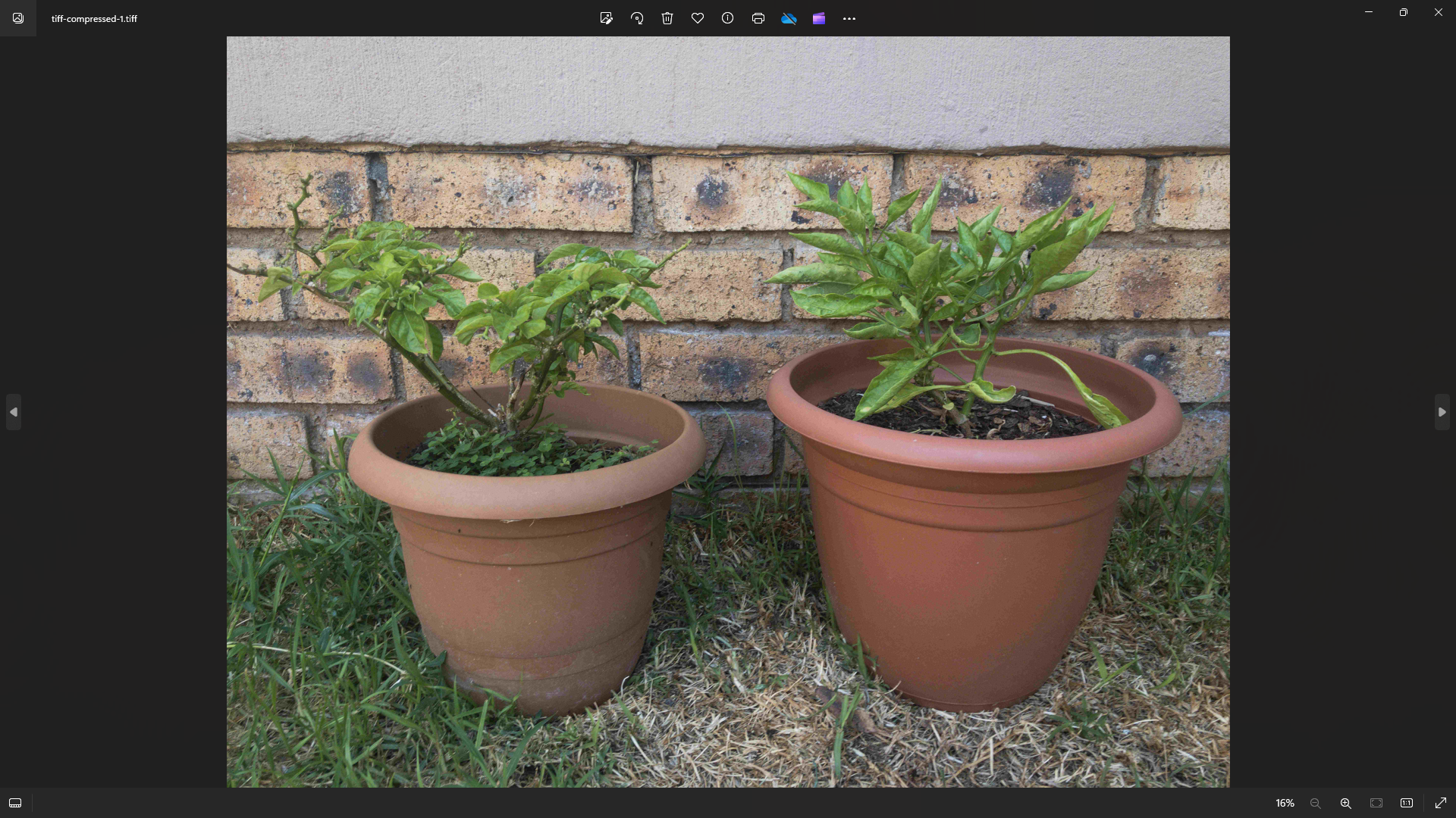 /pl/images/tiff-compressed-lossy.png /pl/images/tiff-compressed-lossy.png