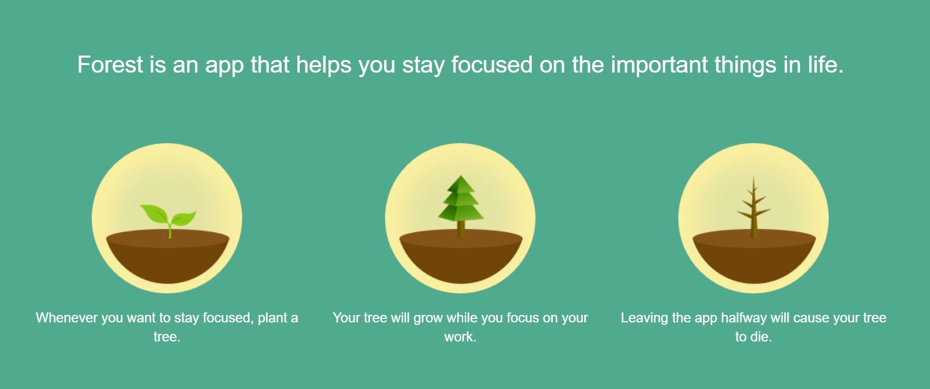 /pt/images/Forest-landing-page.jpg