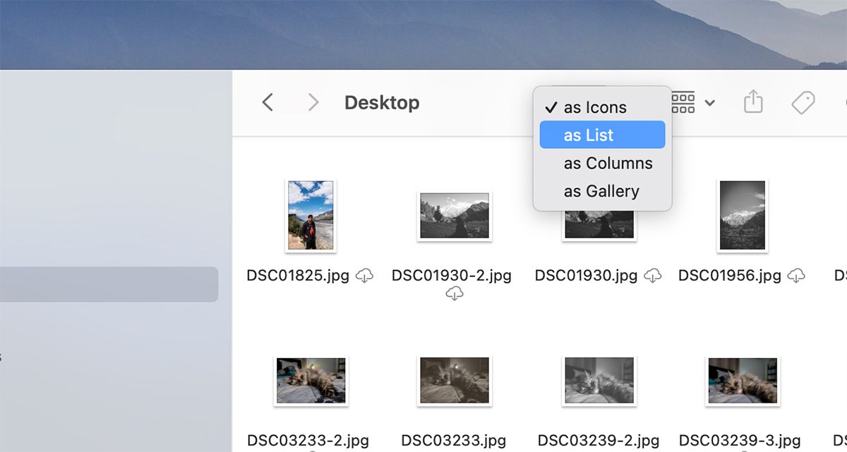 /pt/images/Select-Multiple-Files-Mac-Select-View.jpg
