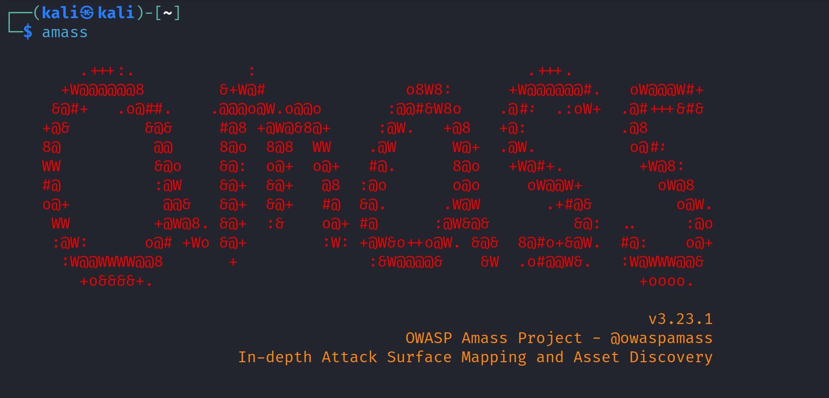 /pt/images/amass-tool-linux-terminal.jpg