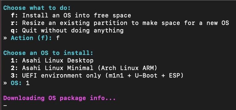 /pt/images/asahi-linux-install-options.jpg