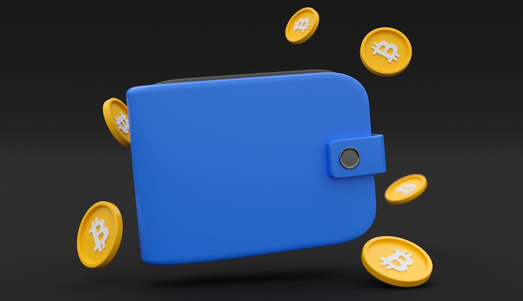/pt/images/blue-btc-wallet.jpg