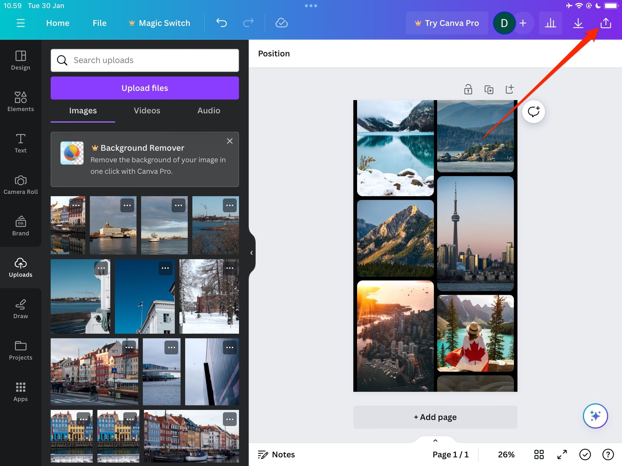 /pt/images/canva-share-this-download-icon.jpg