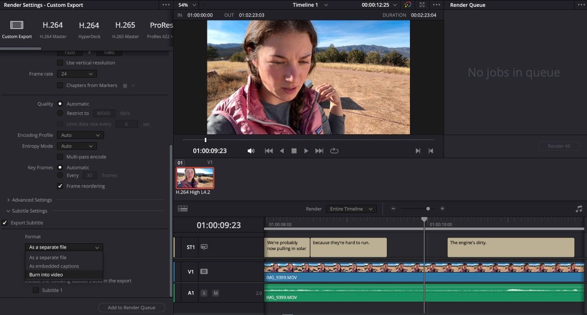 /pt/images/davinci-resolve-exporting-subtitles-and-video-together.jpeg