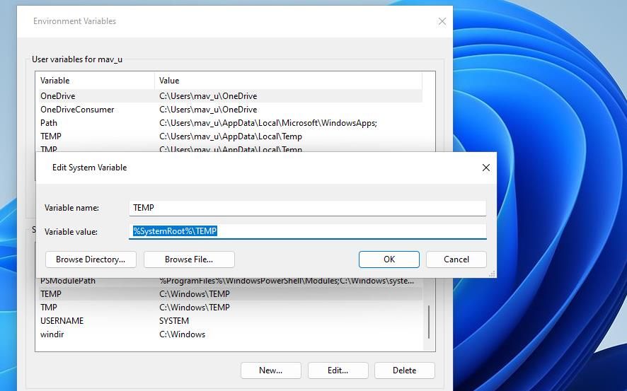 /pt/images/edit-system-variable-window.jpg