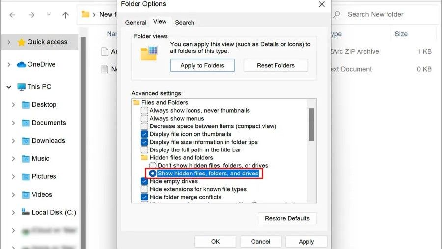 /pt/images/enabling-the-show-hidden-files-and-folders-option-in-folder-options-settings.jpg