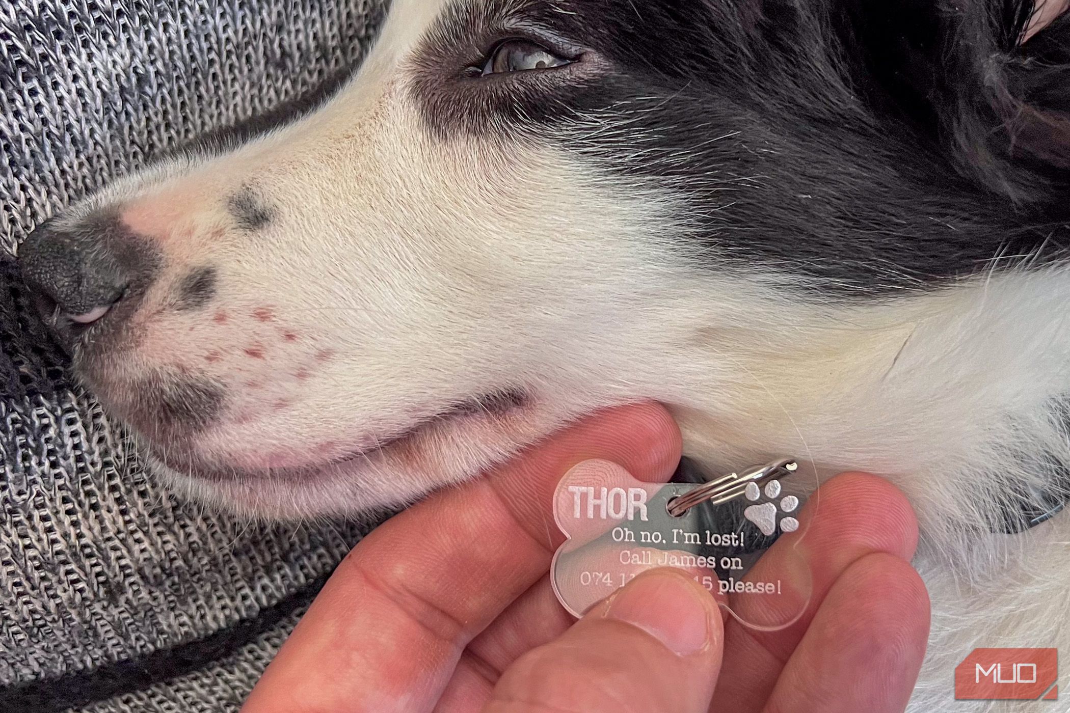 /pt/images/glowforge-pro-samples-puppy-nametag.jpg