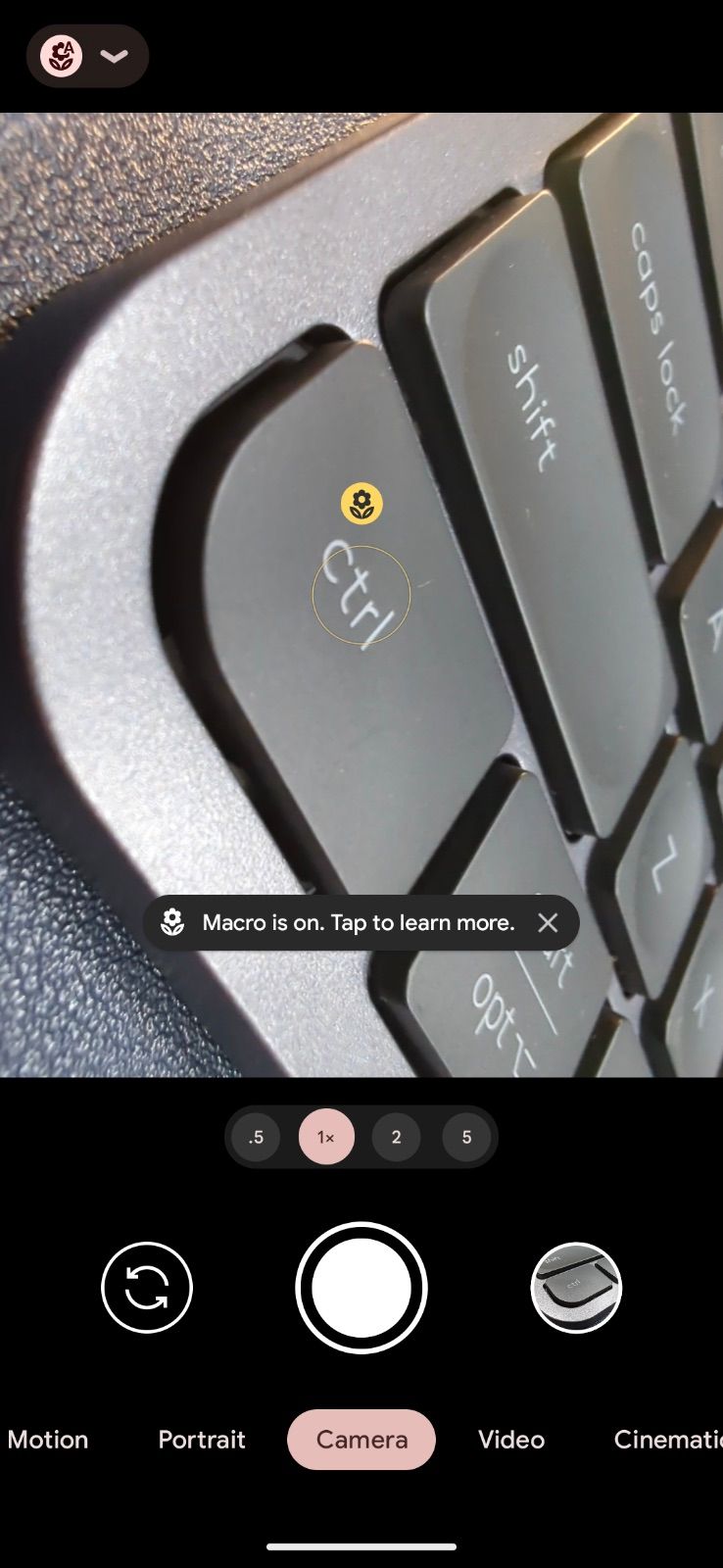 /pt/images/google-pixel-macro-focus-2.jpeg