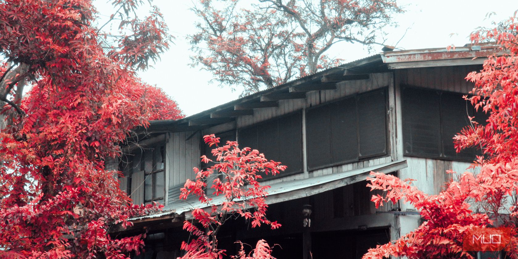 /pt/images/image-of-house-with-trees-with-red-leaves-surrounding-it-1.JPG