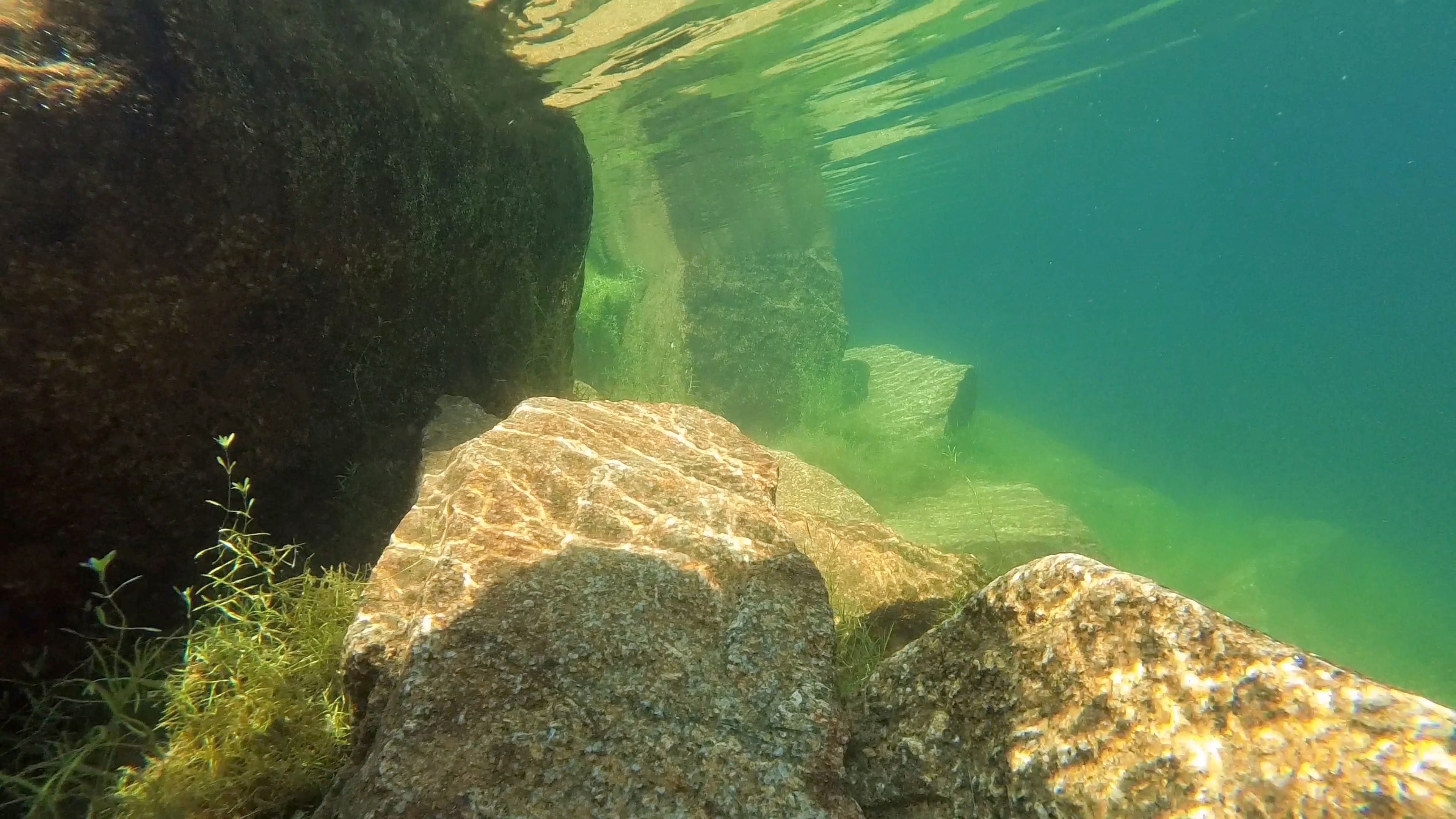 /pt/images/insta360-go-3-sample-underwater.jpg