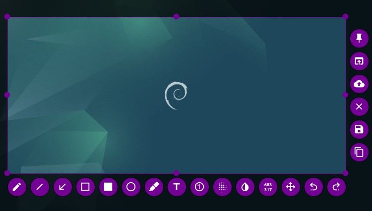 /pt/images/launched-flameshot-on-debian.jpg