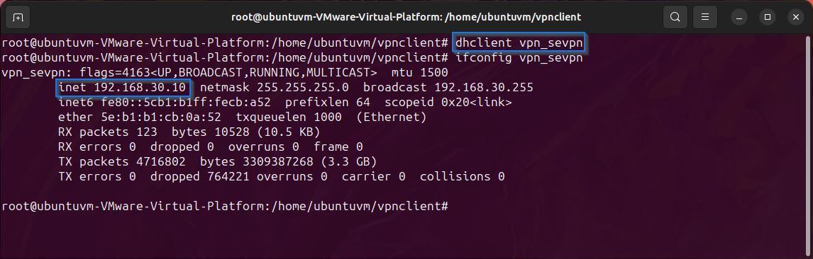 /pt/images/linux-terminal-dhcp-request.jpg