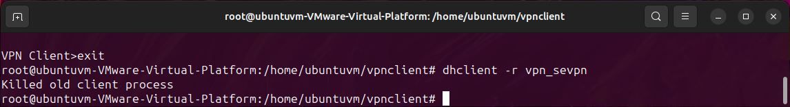 /pt/images/linux-terminal-release-dhcp-lease.jpg