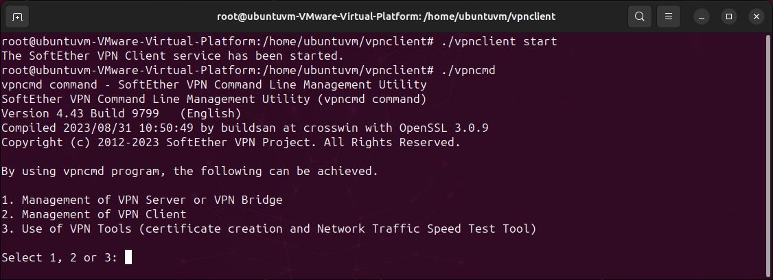 /pt/images/linux-terminal-start-vpn-client.jpg