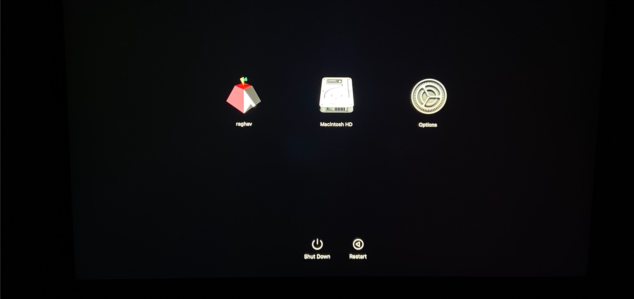 /pt/images/macos-startup-options-page.jpg