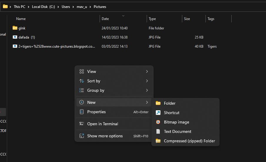 /pt/images/new-folder-options.jpg