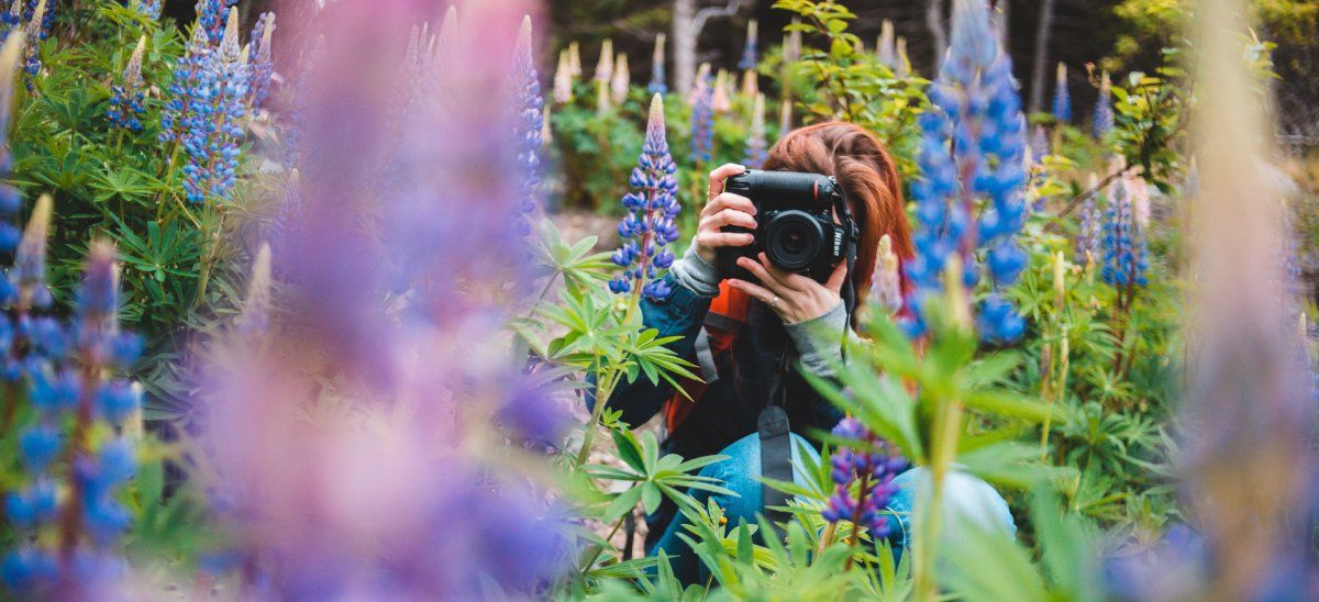 /pt/images/person-in-flowers-taking-photos.jpg